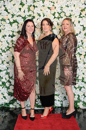 Bantry Hospice Gala Ball-16